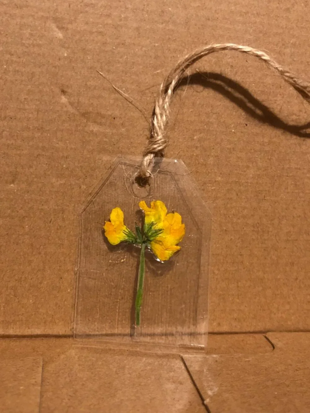 Handmade Real Pressed Flower Bookmarks Set of 2 | Botanical Cottagecore Gift